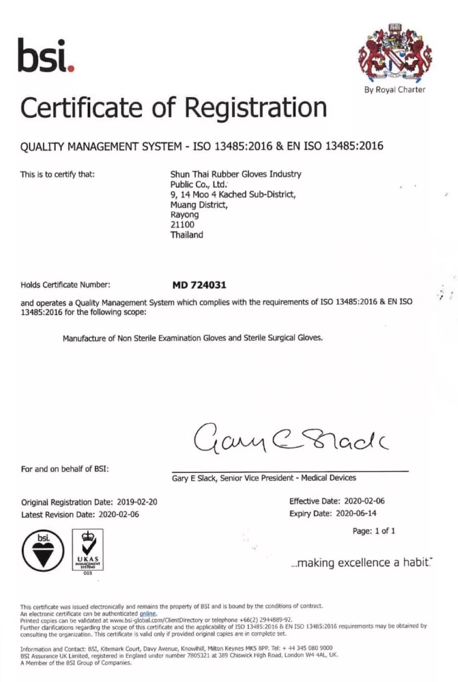 Pure Gloves Nitrile Examination Gloves
