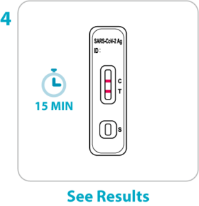 flowflex  test See Result